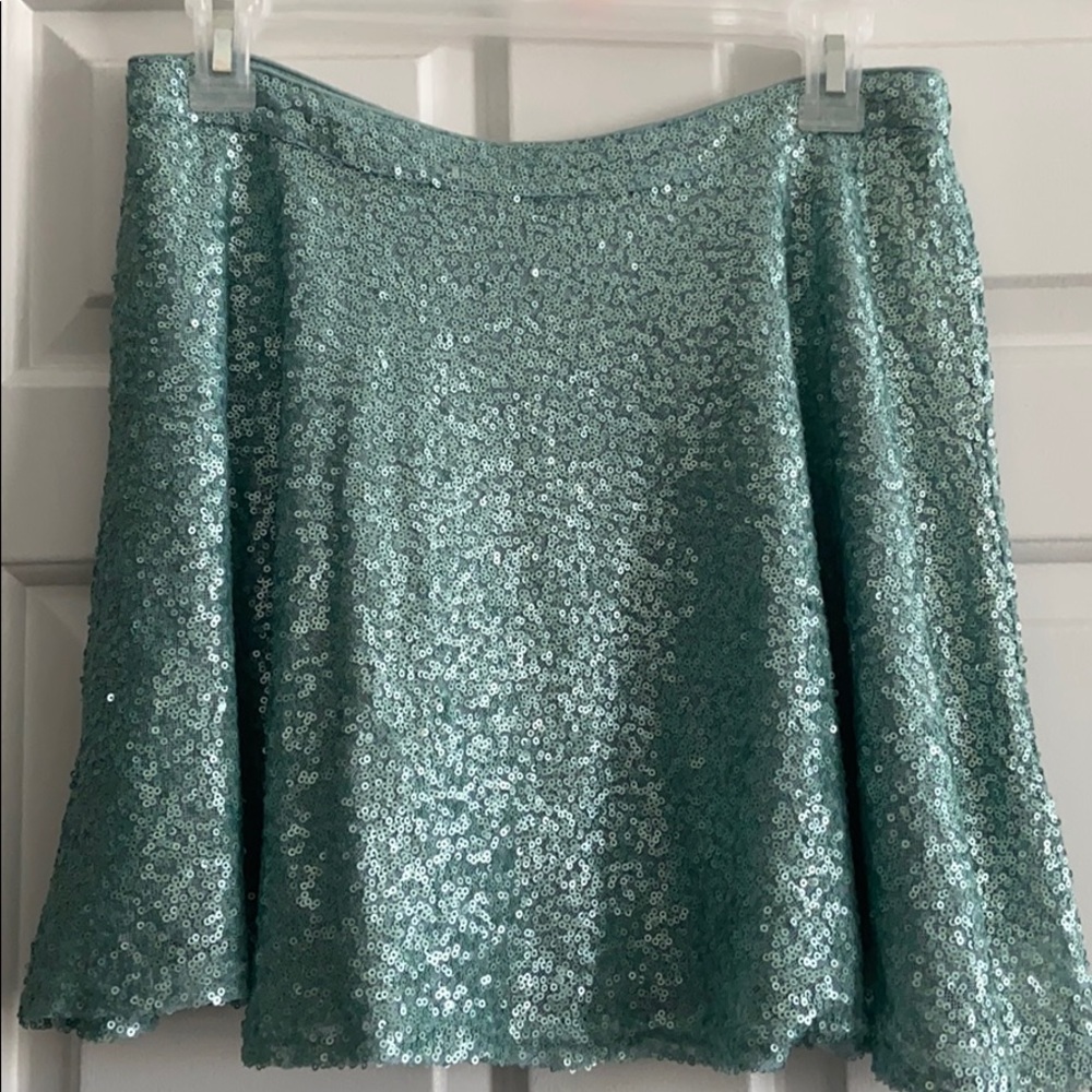 Sequin Skirt